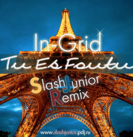 In-Grid - Tu Es Foutu (Slash Junior Remix).mp3