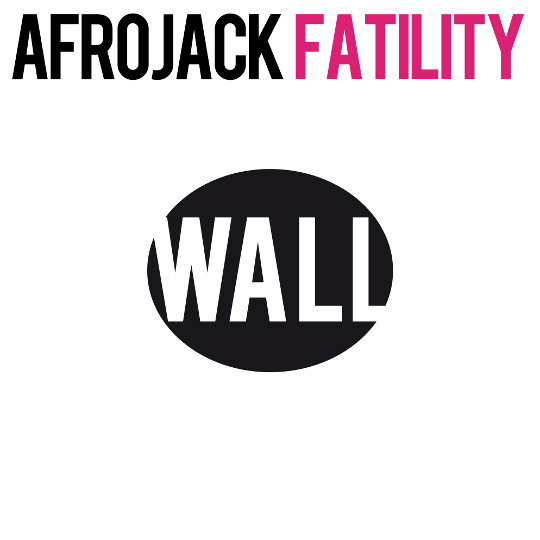 Afrojack - Fatility (Original Mix) [2012]