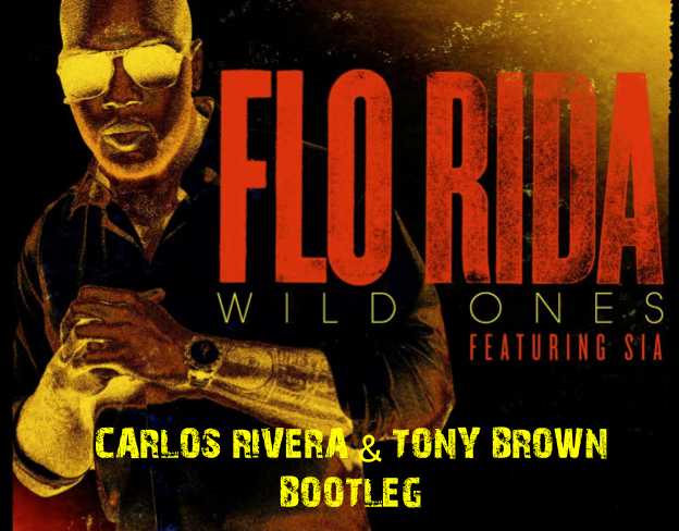 Flo Rida ft.Sia - Wild Ones (Carlos Rivera & Tony Brown Bootleg).mp3