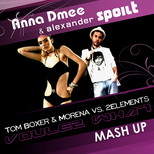 Tom Boxer vs. 2Elements - Voulez What (Anna Dmee & Alexander Spoilt Mash Up) [2012]
