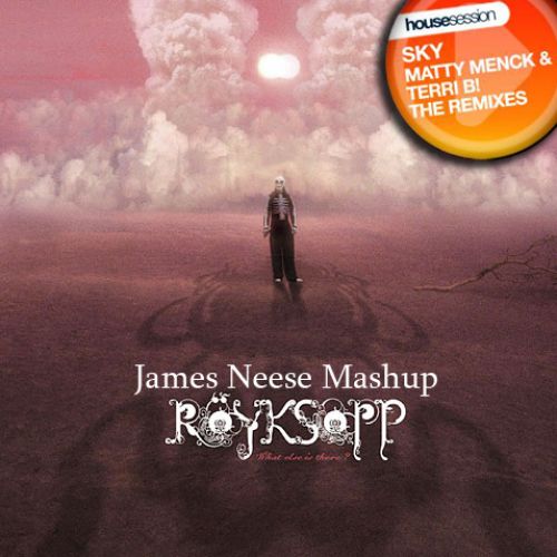 Royksopp & Trentemoller vs. Terri B! & Tony Romera - What Else is Sky (James Neese Mashup).mp3