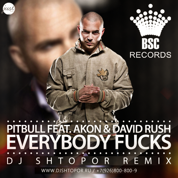 Pitbull feat. Akon & David Rush - Everybody Fucks (DJ Shtopor Radio Remix).mp3