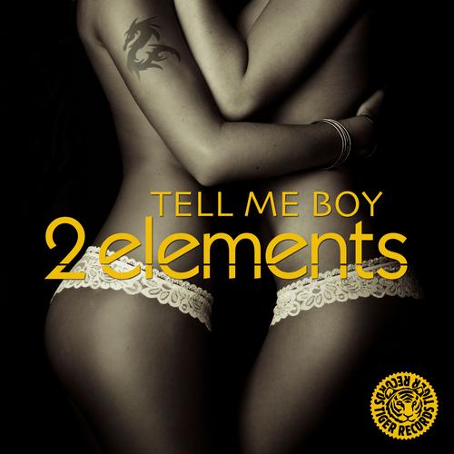 2Elements - Tell Me Boy (Gott Say Remix) [2012]