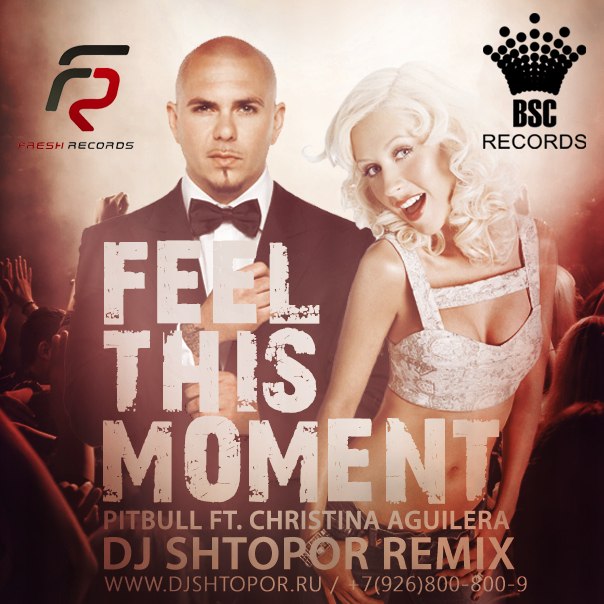 Pitbull feat. Christina Aguilera - Feel This Moment (DJ Shtopor Remix).mp3