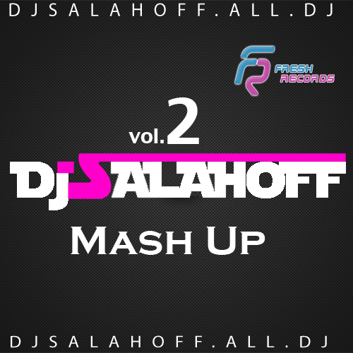 2-4 Groove vs Toby Sky - Writing on the  wall (SALAHOFF Mash Up).mp3