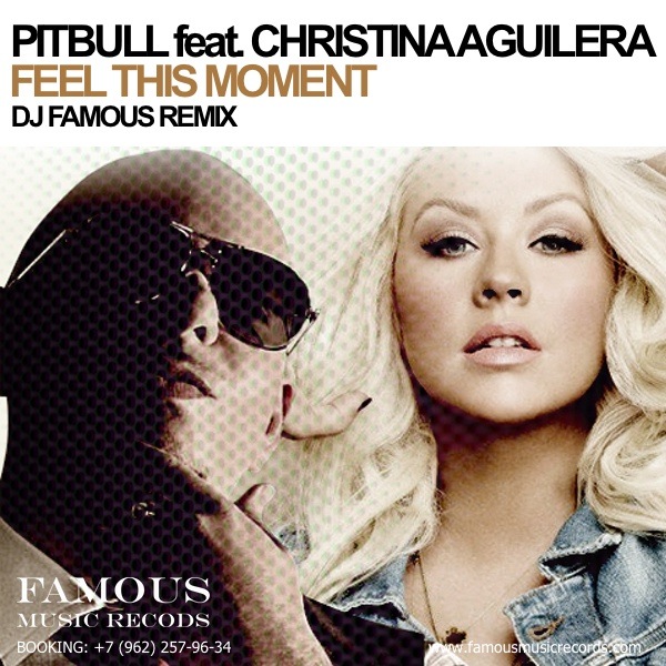 Pitbull feat. Christina Aguilera - Feel This Moment (DJ Famous Remix) [2013]