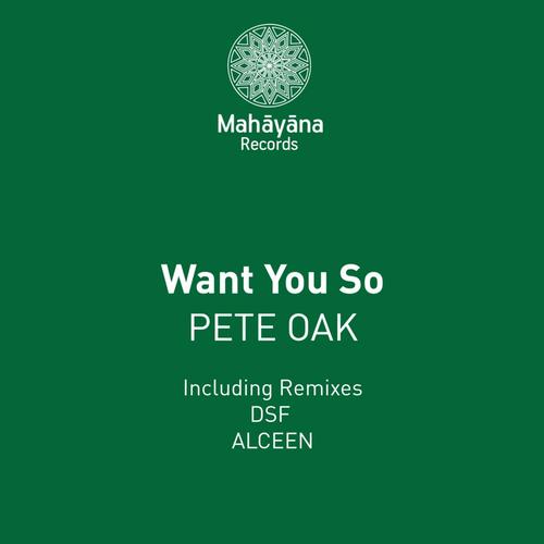 Pete Oak - Want You So.mp3