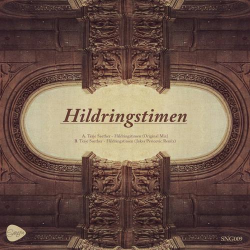 Terje Saether - Hildringstimen (Jaksa Pavicevic Nord Chord Remix).mp3