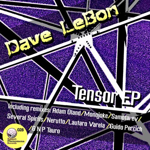Dave LeBon - Tensor; Tip D'oris - Loss Of Sight [2013]