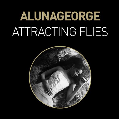 AlunaGeorge - Attracting Flies (Baauer Remix) [2013]