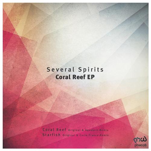 Several Spirits - Coral Reef (Aquastic Remix).mp3