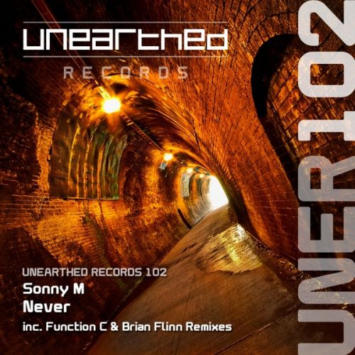 Sonny M - Never (Original Mix; Function C Remix; Brian Flinn Remix) [2013]