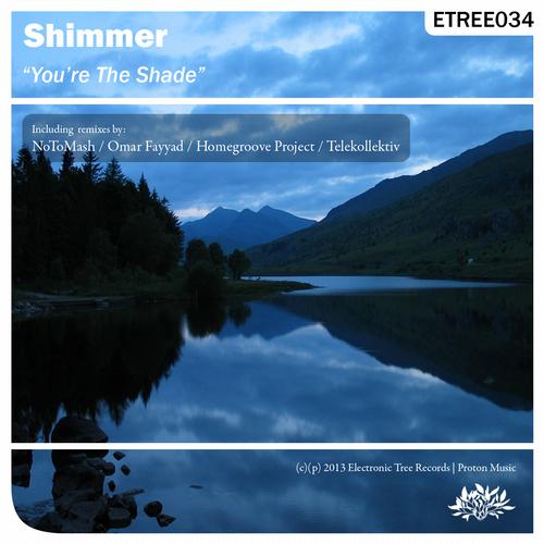 Shimmer - You're The Shade (Homegroove Project Remix).mp3