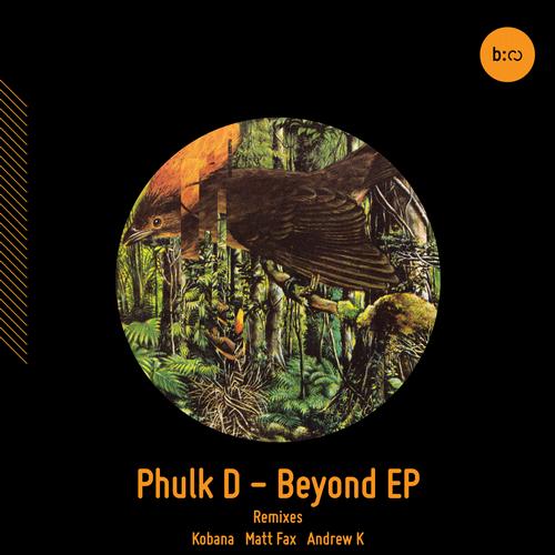 Phulk D - Beyond (Matt Fax Remix).mp3