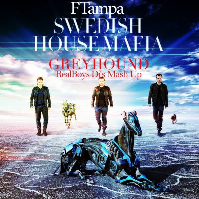 Swedish House Mafia & FTampa - Greyhound (RealBoys Dj's Mash Up).mp3