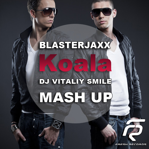 Blasterjaxx  Koala (DJ Vitaliy Smile Mash Up) [2013]