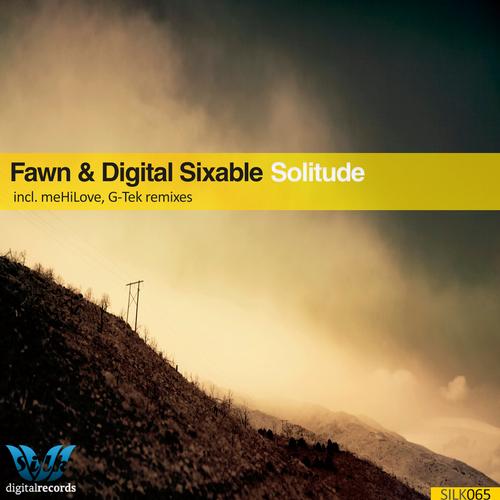 Fawn & Digital Sixable - Solitude (meHiLove Vocal Remix).mp3