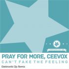 Pray For More & Ceevox - Can't Fake The Feeling (Elektroniki Djs Remix) [2013]