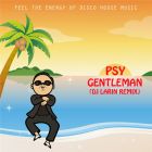 Psy - Gentleman (DJ Larin Remix) [2013]