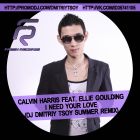 Calvin Harris feat. Ellie Goulding - I Need Your Love (Dj Dmitriy Tsoy Summer Remix) [2013]