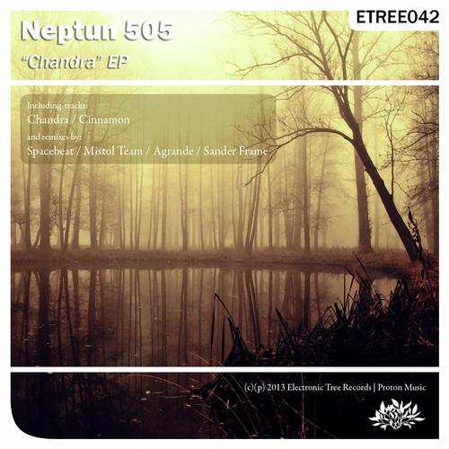 Neptun 505 - Cinnamon (Sander Frame Remix).mp3