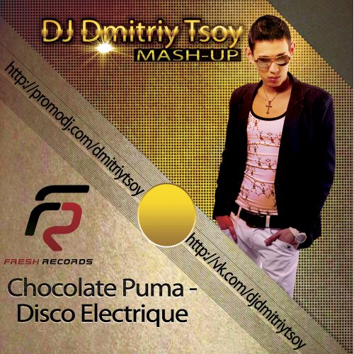 Chocolate Puma vs. Bingo Players feat. Dj Tarantino vs. Dj Rich -Art - Disco Electrique (DJ Dmitriy Tsoy Mush-Up).mp3