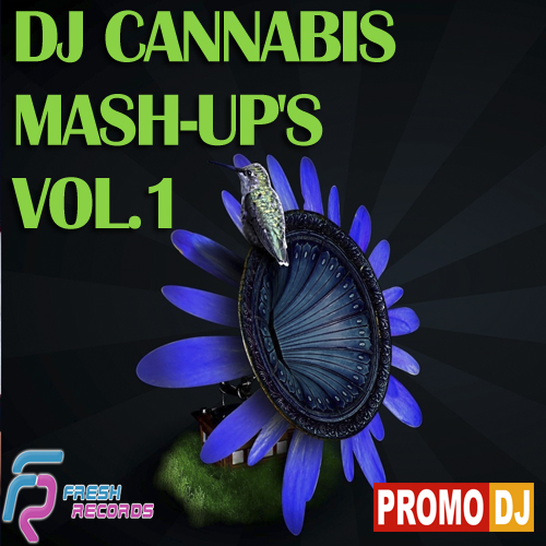 David Guetta Ft. Neyo & Akon vs. Electro Elephants - Play Hard (DJ Cannabis Mashup).mp3