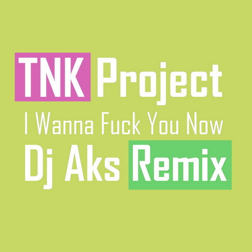 Tnk Project - I Wanna Fuck You Now (Dj Aks Remix) [2013]