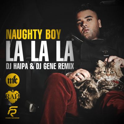 Naughty Boy  La La La (DJ Haipa & DJ Gene Remix).mp3