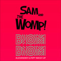 Sam And The Womp - Bom Bom With You (Alexander Slyepy MashUp).mp3