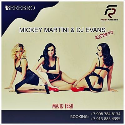 Serebro -   (Mickey Martini & Dj Evans Remix).mp3