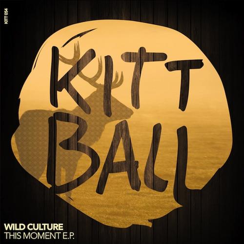 Wild Culture - This Moment (Original Mix) [2013]