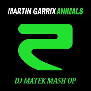Martin Garrix & Riggi & Piros & Unknown  Animals (Dj Matek Mash Up) [2013]