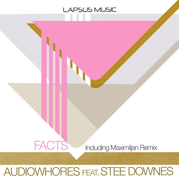 Audiowhores feat. Stee Downes - Facts (Original Vibe).mp3