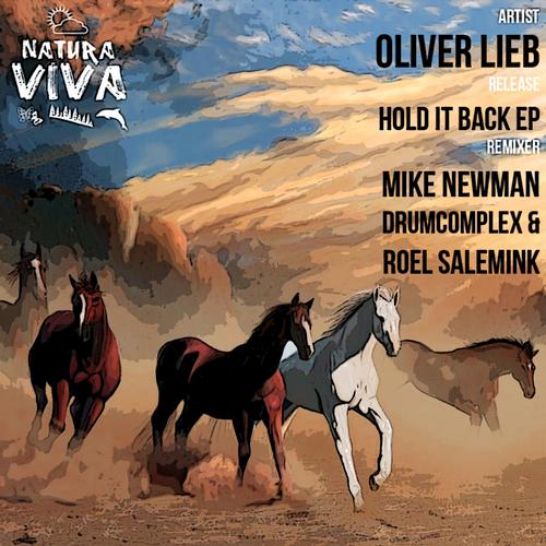 Oliver Lieb - Better Run (Mike Newman Dub Remix).mp3