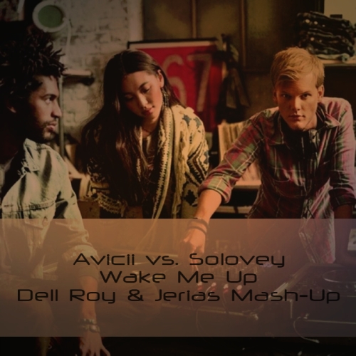 Avicii vs. Solovey - Wake Me Up (Dell Roy & Jerias Mash-Up).mp3