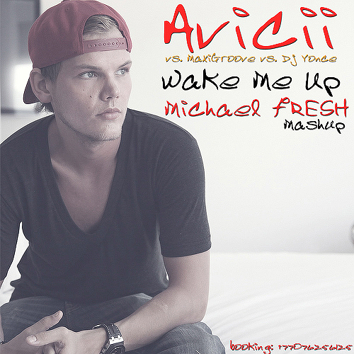 Avicii vs. MaxiGroove vs. Dj Yonce - Wake Me Up (DJ Michael Fresh Mashup) [2013]