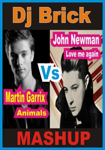 John Newman Vs  Martin Garrix - love me again ,Animals ( Dj Brick MASHUP )