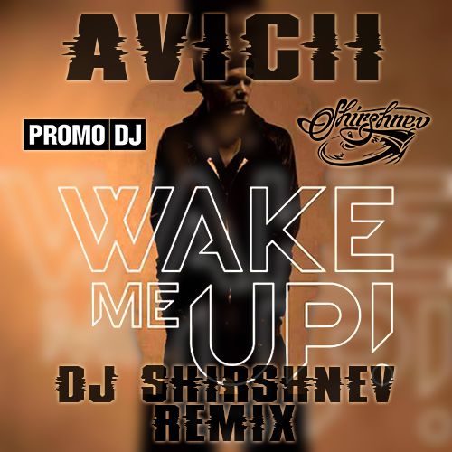 Avicii feat. Aloe Blacc  Wake Me Up (DJ Shirshnev Remix) [2013]