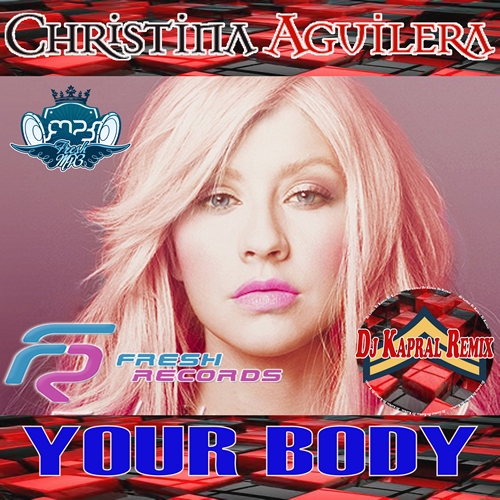 Christina Aguilera - Your Body (Dj Kapral Remix).mp3