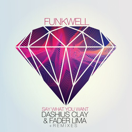 Funkwell feat. Dashius Clay & Fader Lima  Say What You Want (Extended Mix).mp3