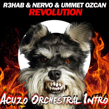 R3hab & Nervo & Ummet Ozcan vs. Acuzo - Revolution (Acuzo Orchestral Intro Edit)