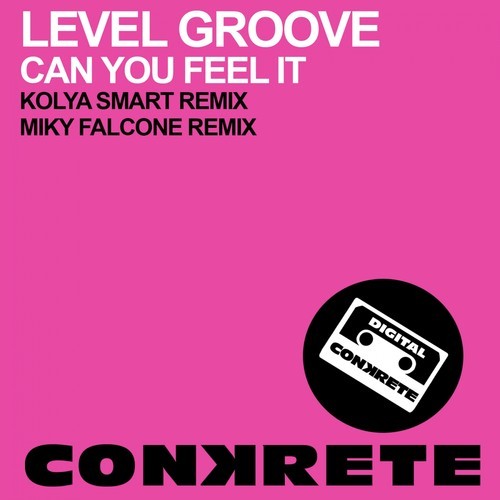 Level Groove - Can You Feel It (Miky Falcone Remix).mp3