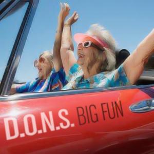 D.O.N.S. - Big Fun (Dave Spoon Remix).mp3