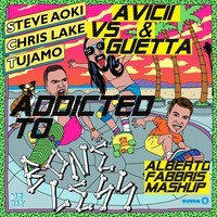 Avicii & Guetta Vs Steve Aoki & Chris Lake & Tujamo  - Addicted to Boneless (Alberto Fabbris Mash-Up).mp3