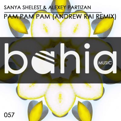 Sanya Shelest & Alexey Partizan - Pam Pam Pam (Andrew Rai Remix).mp3