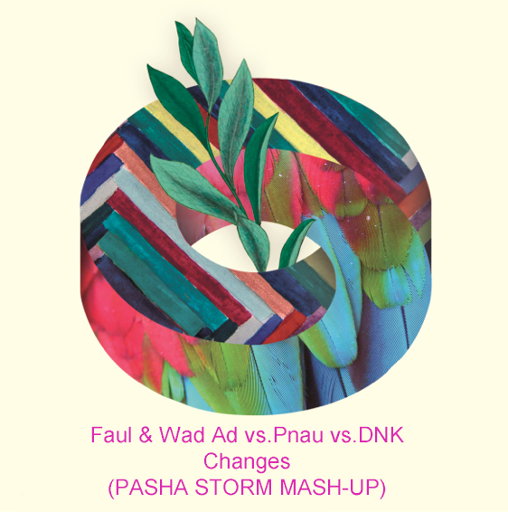 Faul & Wad Ad vs Pnau Vs DNK - Changes (Pasha Storm Mash-Up)