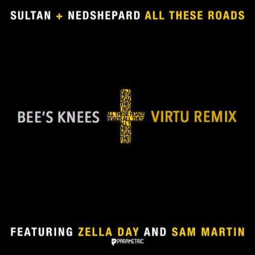 Sultan + Ned Shepard - All These Roads (Bee's Knees & Virtu Remix).mp3