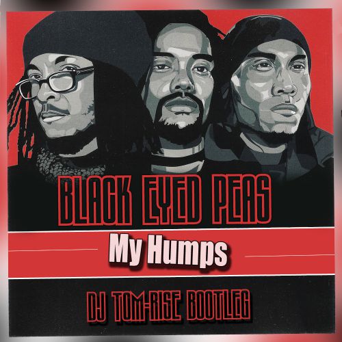 Black Eyed Peas - My Humps (DJ TOM-RISE bootleg).mp3