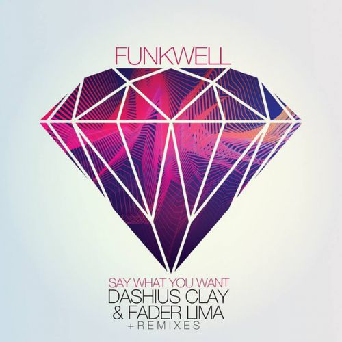 Funkwell feat. Dashius Clay  Fader Lima - Say What You Want (Daan'D Remix).mp3